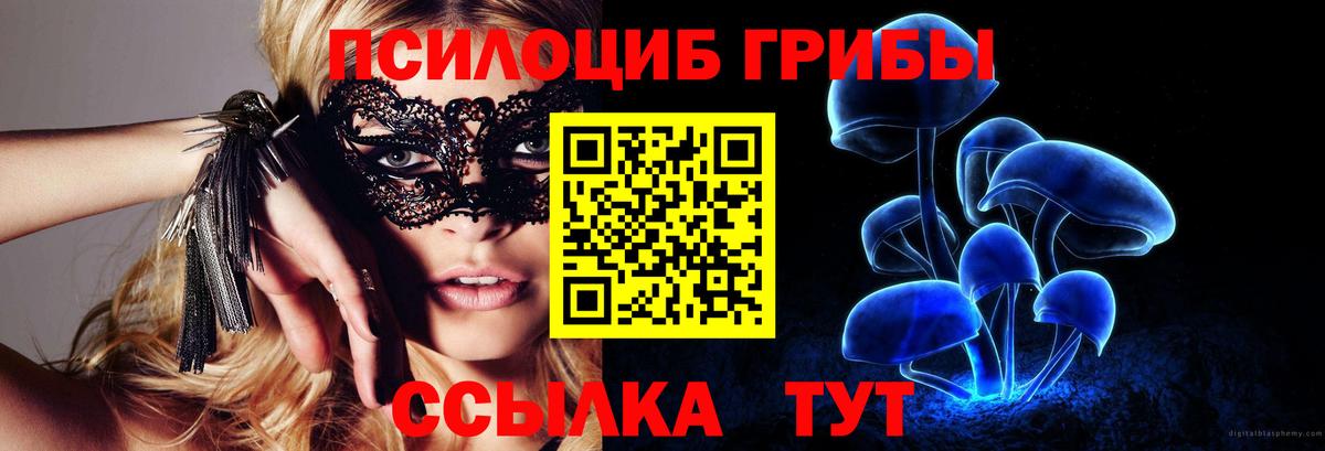 Псилоцибиновые грибы прущие грибы  Вход с VPN  Лесосибирск  Псилоцибиновые грибы GOLDEN TEACHER 