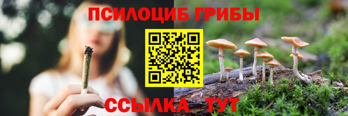 Галлюциногенные грибы MAGIC MUSHROOMS Лесосибирск